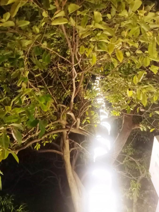 Green Hub Pushkar别墅 外观 照片